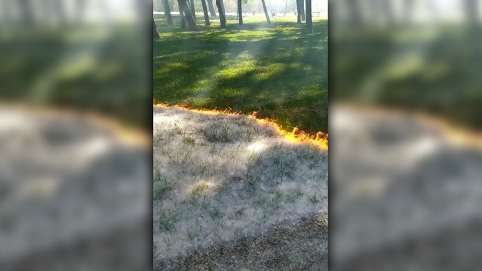 Cameron Diaz a Amy Schumer v úlohe matky