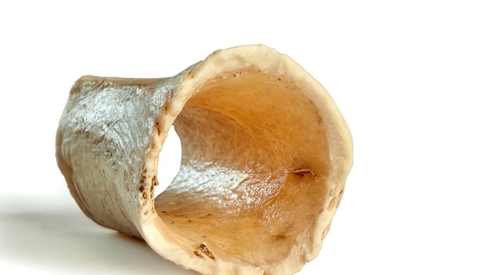 Špiková kosť - ilustračná snímka.