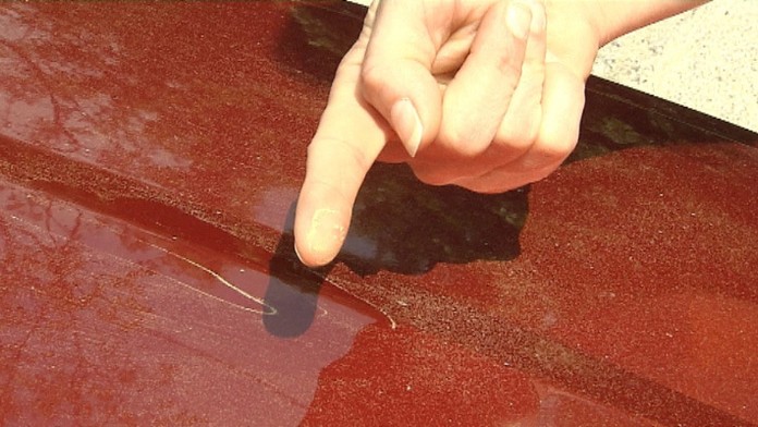 Žltý prach na autách