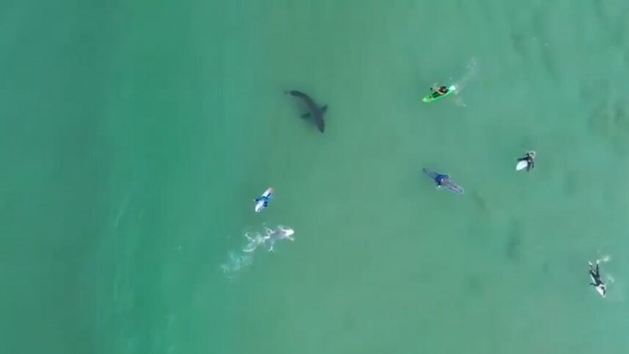 Kosovský prezident Hashim Thaci salutuje počas inšpekcie členov kosovských bezpečnostných síl v Prištine.