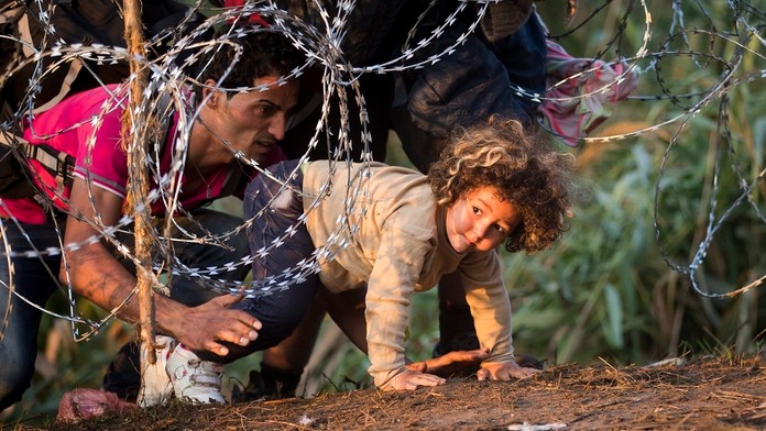 Plot na maďarsko - srbských hraniciach