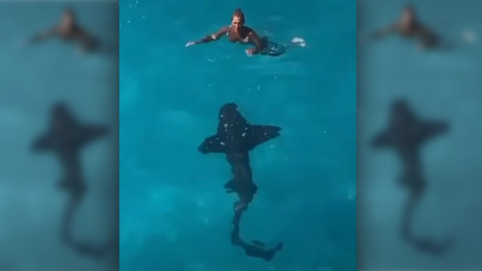 Sestricky S02 RECAP od septembra YT.mp4