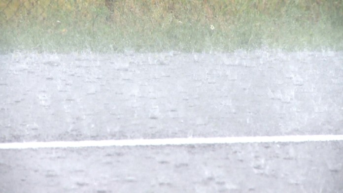 uplakany februarweb_jpg_bez_watermarku_1.jpg