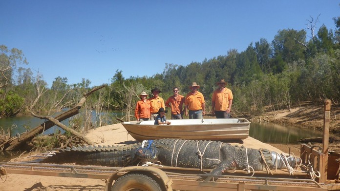 Chytili legendárneho krokodíla v austrálskej rieke Katherine