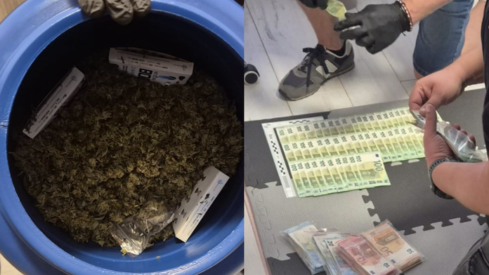 FOTO: Tajná „záhradka“ pri Lučenci. Polícia zaistila desiatky rastlín marihuany aj 13-tisíc eur