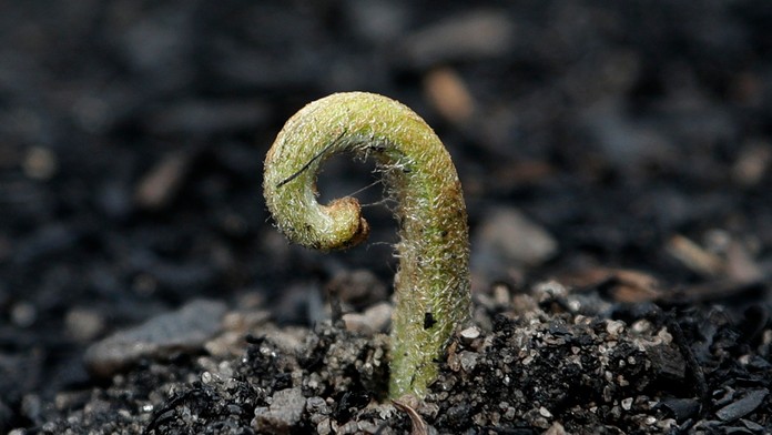 Cestujú po svete na bicykli!