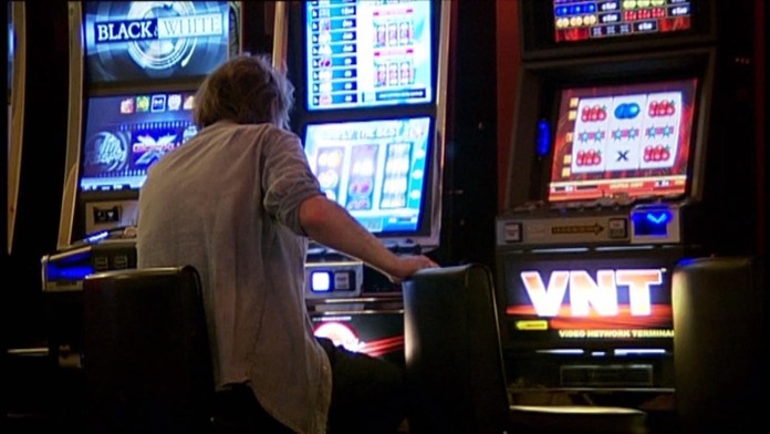 Herne - ilustračné foto.