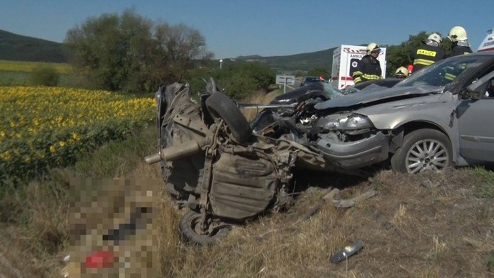 Vodič zraneniam podľahol.