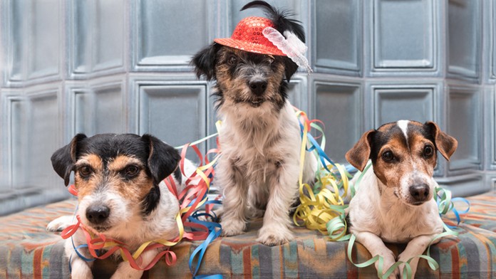 Razia v Deutsche bank