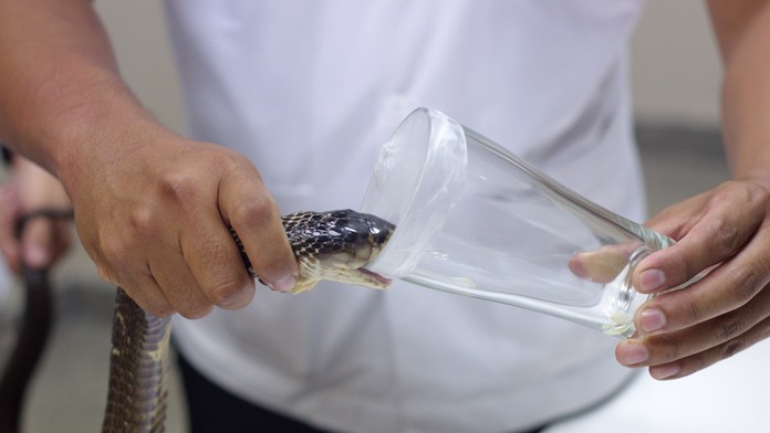 Ilustračná snímka.