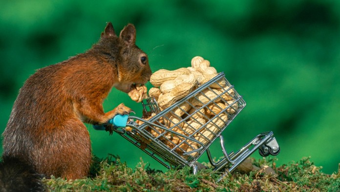 ceremonia_tvnoviny.mp4