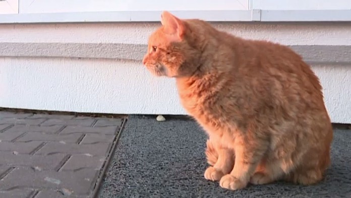 Ilustračná snímka.