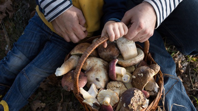 Ilustračná snímka.