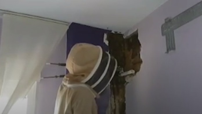 Sprava Nemci Marco Nowak, Philipp Grubauer a Marcel Noebels oslavujú triumf nad Fínskom na MS 2019.