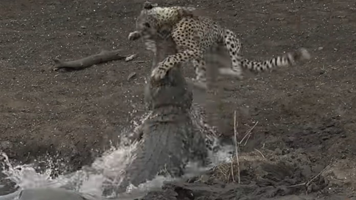 Prezidentka Zuzana Čaputová s medovníkmi, ktoré napiekla pre zdravotníkov.