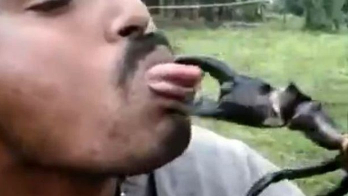 Man-taunts-crab-with-his-tongue.jpg