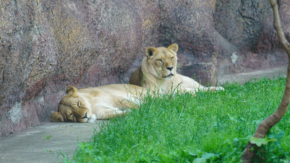 FARMA XII Zaciname PO 16ku9.mp4