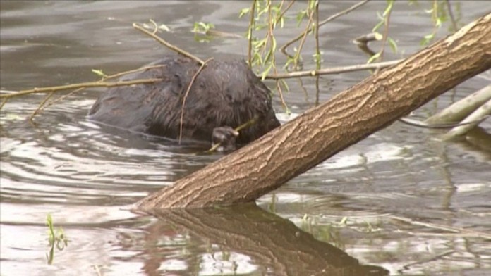 Ilustračná snímka.