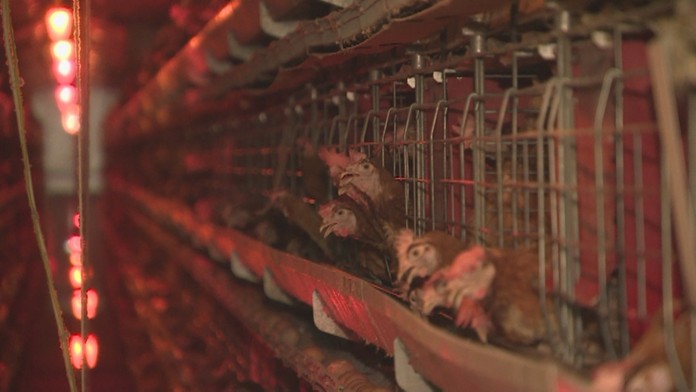 Ilustračná snímka.