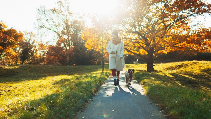 Ilustračná snímka.