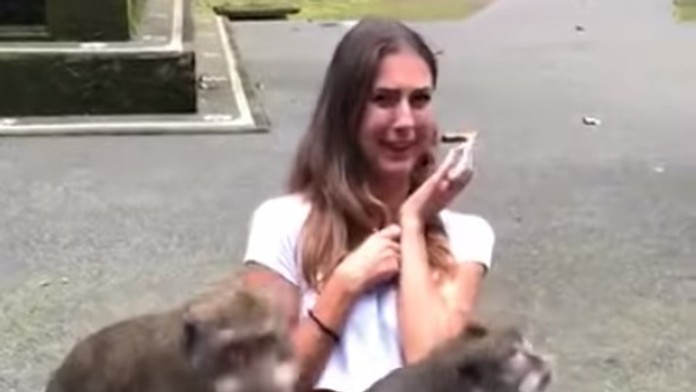 Turistka sa chcela odfotiť s opicami, no toto nečakala.
