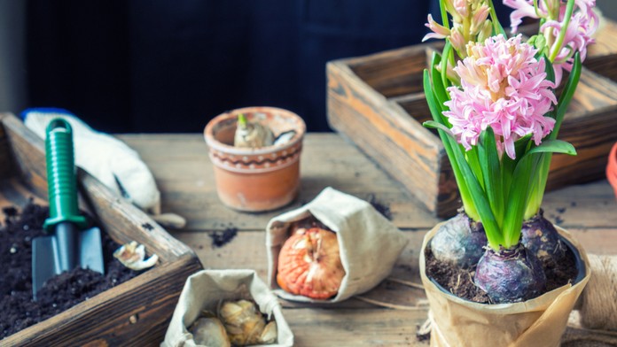 Ilustračná snímka.