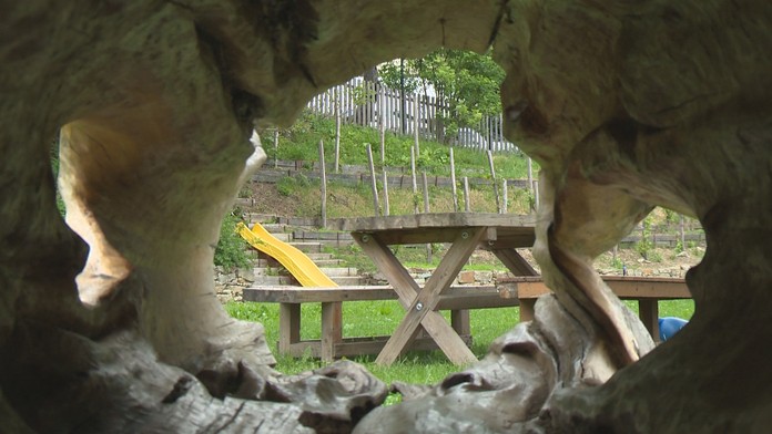 Na takomto mieste by ste vinohrad nečakali. V Banskej Štiavnici pestujú hrozno priamo pod Kalváriou