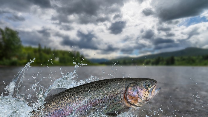 Ilustračná snímka. 