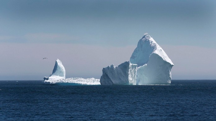 Ľadovec pri meste Ferryland.