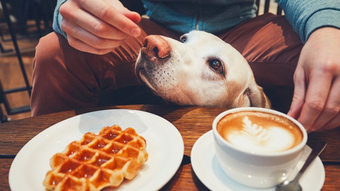 Zľava Peter Šufliarsky, generálny prokurátor Jaromír Čižnár a prvý námestník generálneho prokurátora René Vanek.