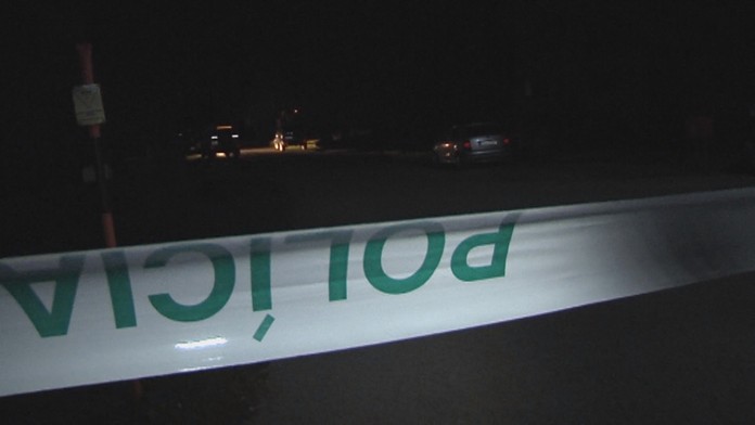 Na snímke zľava Adam Nemec a Tomáš Hubočan (obaja Slovensko) oslavujú prvý gól.