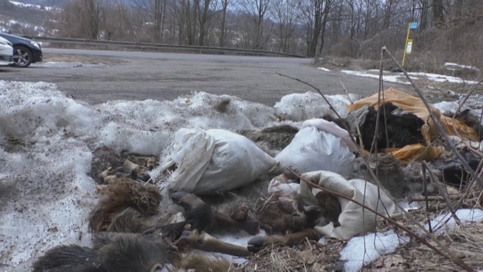 Matovič a eurovoľby