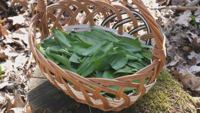 Na snímke leží na zemi klinec ako dôkazový materiál po výbuchu v centre Budapešti.