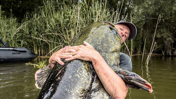 FOTO: Kapitálny úlovok známeho rybára: Z rieky vytiahol monštruózneho sumca s rekordnou dĺžkou
