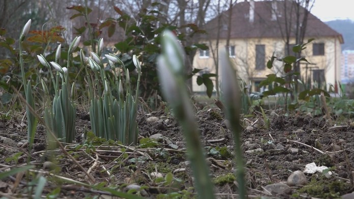 1601_Reflex_16_01_P20_dnes_17_25__12.mp4