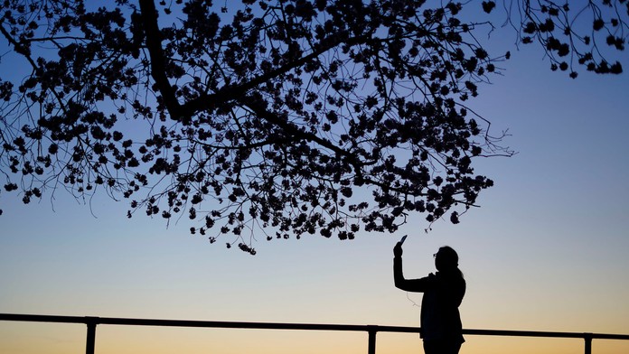 Ilustračná snímka 