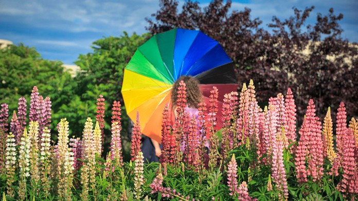 Operátor jej vraj vymenil reklamovaný telefón za nový. No tvrdí, že menil len súčiastku. 