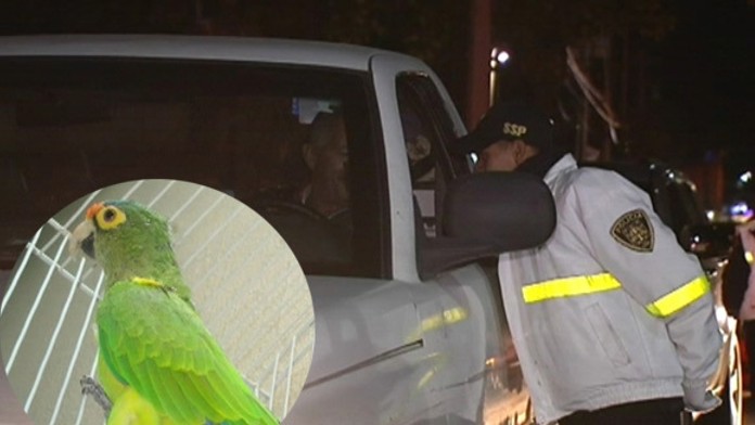 autoweb_jpg_bez_watermarku_1 copy.jpg