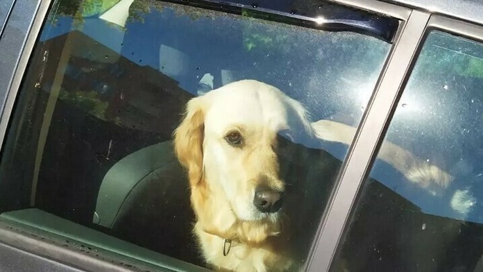 Generálny riaditeľ D4R7 Construction s.r.o. Michael Heerdt.