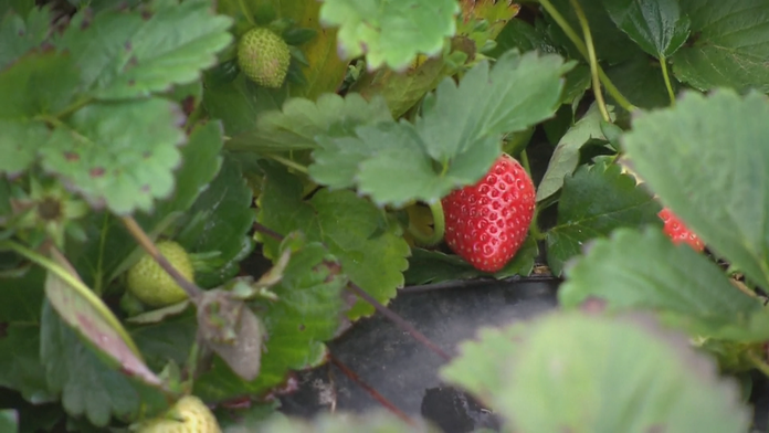 Ilustračná snímka.