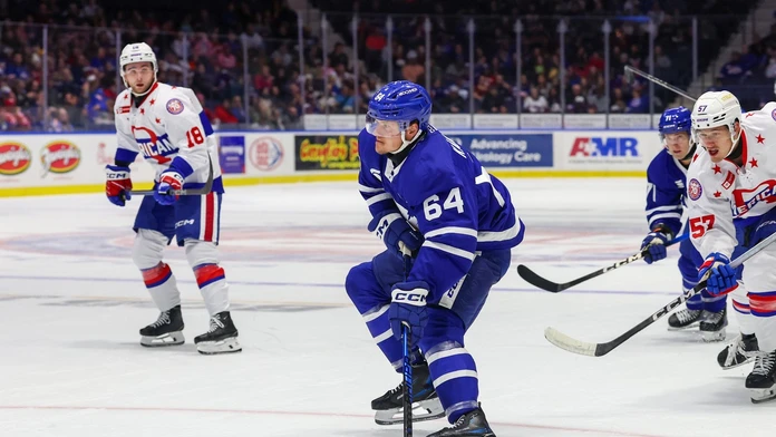 Český útočník stratil miesto v NHL, no hrať na „farme“ nechce. Reakcia Toronta prišla rýchlo