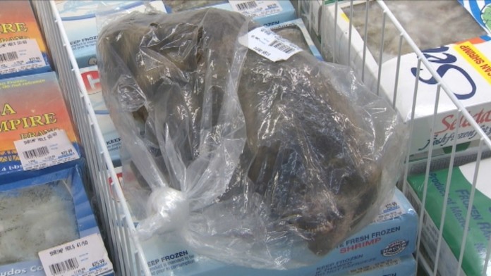 Medvedík čistotný ako potravina