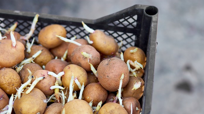 Ilustračná snímka.