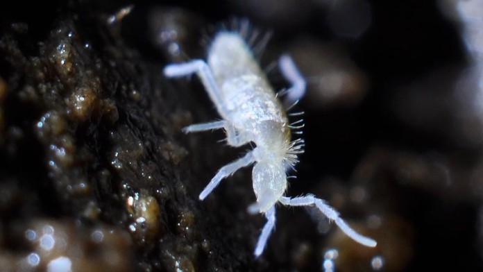 Petra Vlhová s otcom na letisku v Poprade.