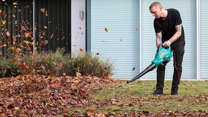 Nathan Wyburn vytvoril Monu Lisu z lístia