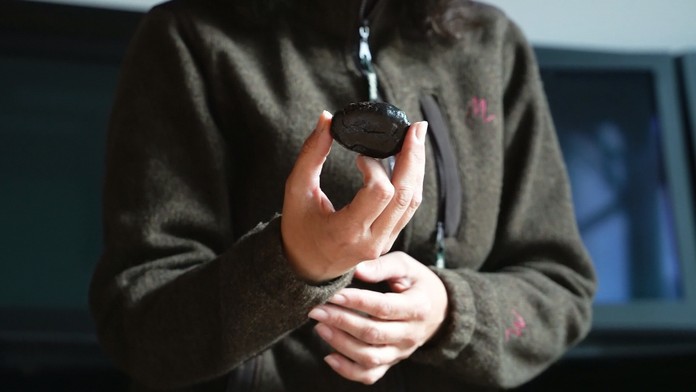 Poklad, ktorý zdobí klenoty Alžbety II., objavili aj v žalúdku tatranských kamzíkov