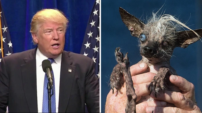 trump+pes.jpg