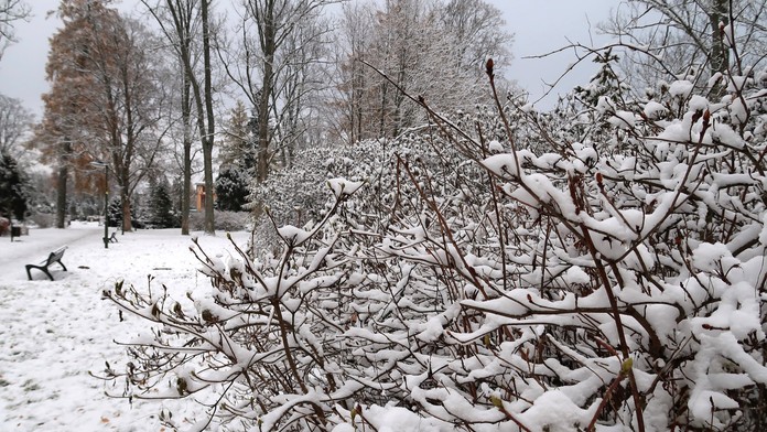Zima sa na Slovensku opatrne rozbieha. V týchto oblastiach v najbližších hodinách nasneží