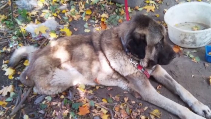 Ilustračná snímka.