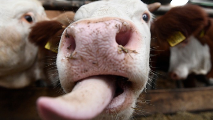 0104_Telerano_01_04_P20_Po_06_00.mp4